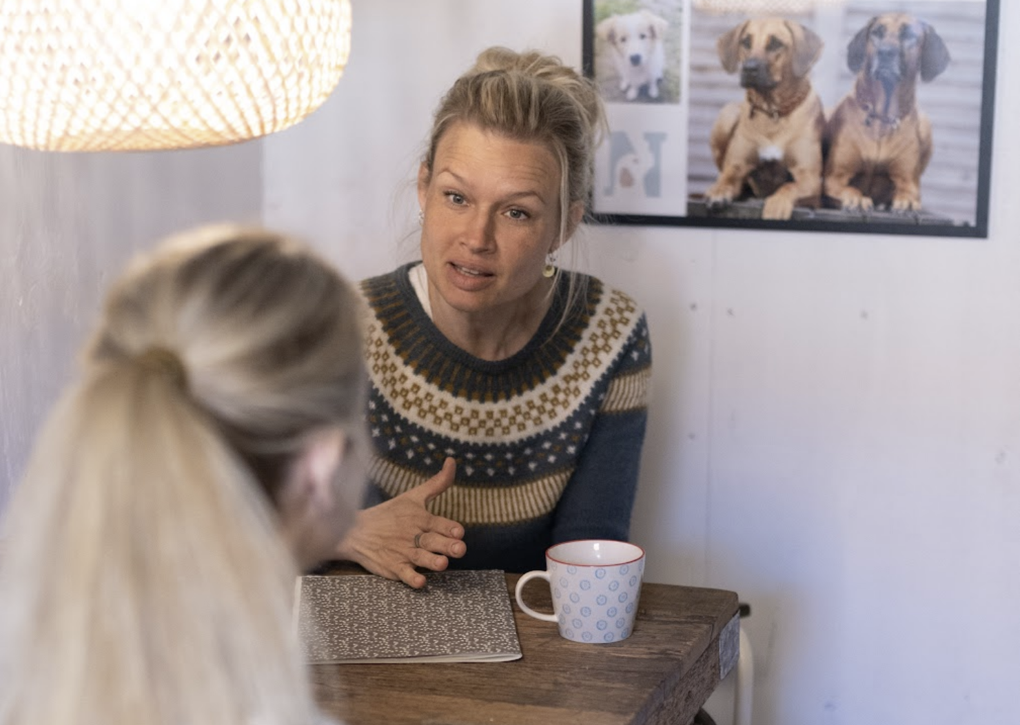 Adfærdsrådgivning v/ adfærdsrådgiver Mia Trier-Knudsen, Nordhund