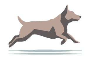 Indkald intensiv - onlinekursus for hunde og deres ejere hos Nordhund hundetræning online.