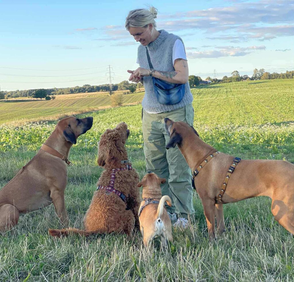 Adfærdsrådgivning er en løsning hvis din hund er utryg, usikker, angst, stresset, urenlig, har separationsangst eller lignende.