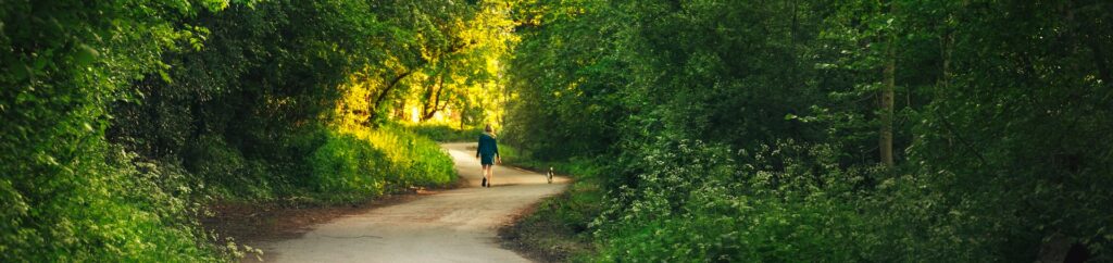 Den dag, jeg blev rigtig bange - blogindlæg om at gå tur, om at blive forskrækket, og om den bange hund.