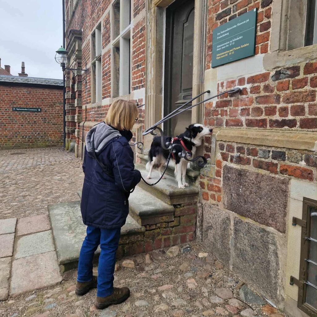 nosework, nordhund, hundetræning, hillerød, nordsjælland